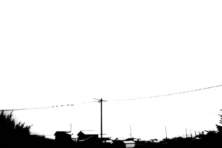 p114810744828.jpg